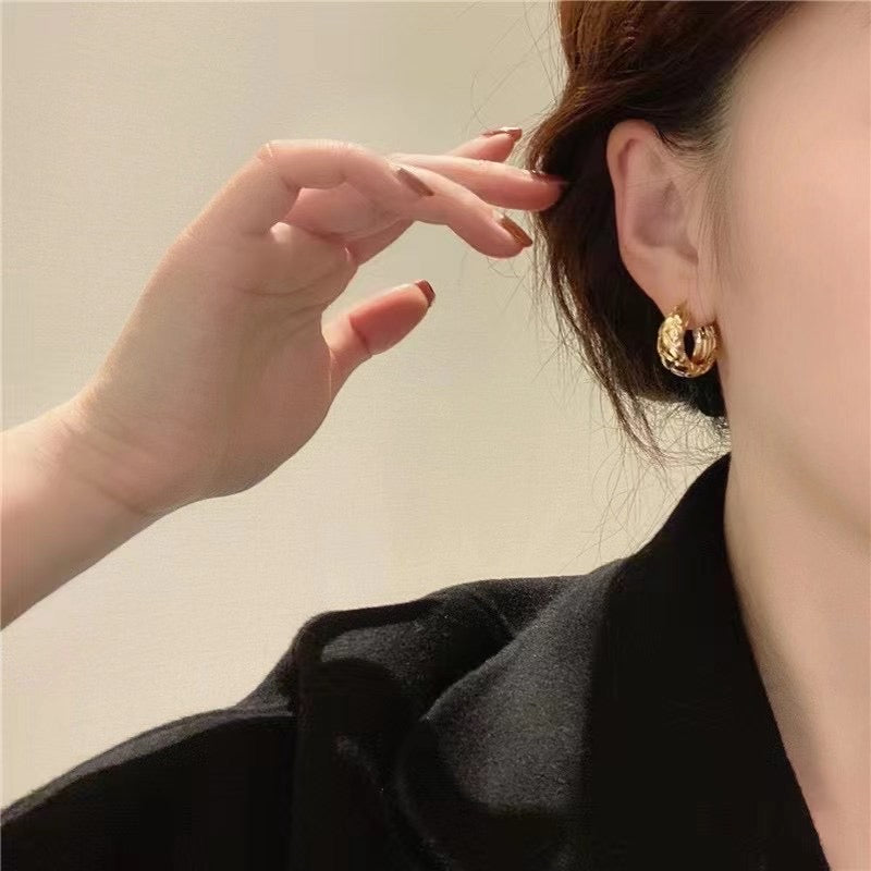 High End Niche Light Luxury Small Hoop Earrings