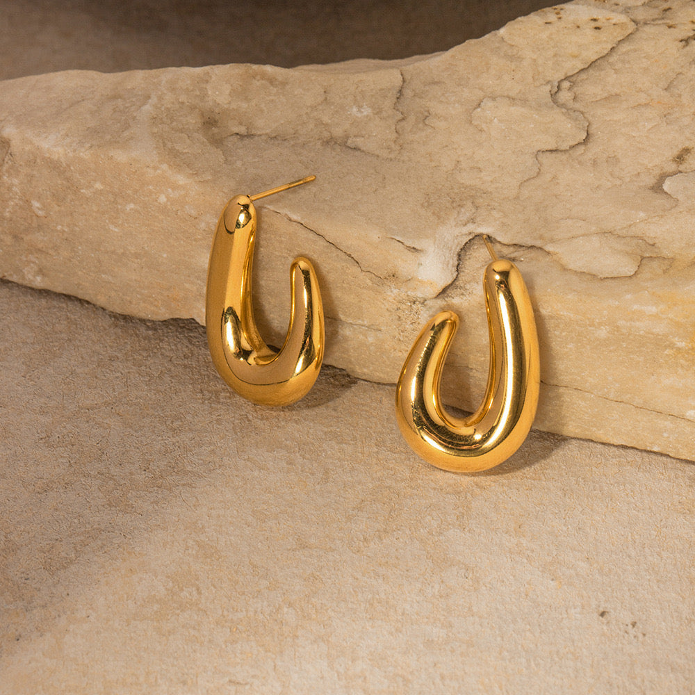 Premium Gold Hook Earrings