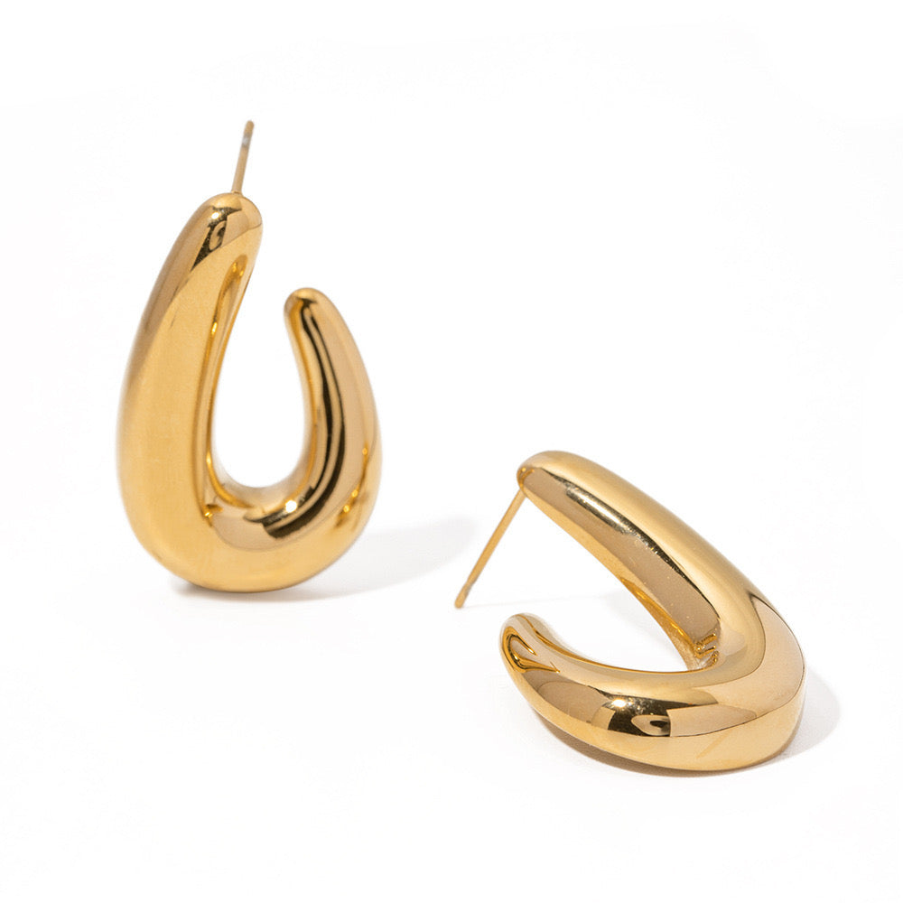 Premium Gold Hook Earrings