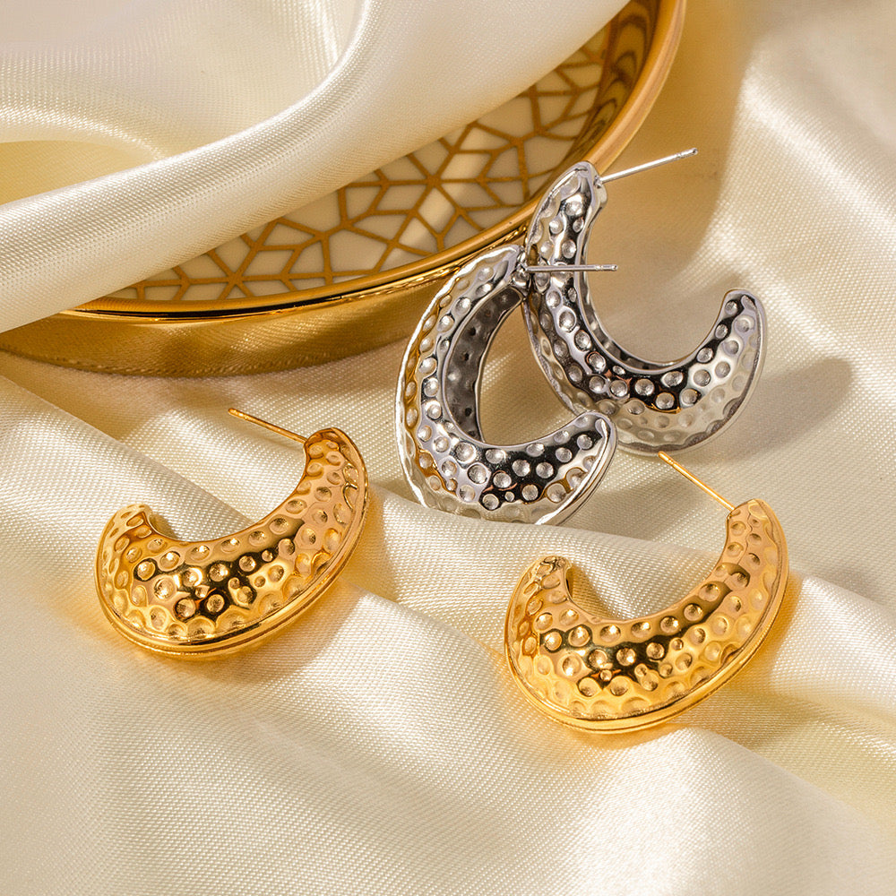 Premium Gold Silver Shining Earrings