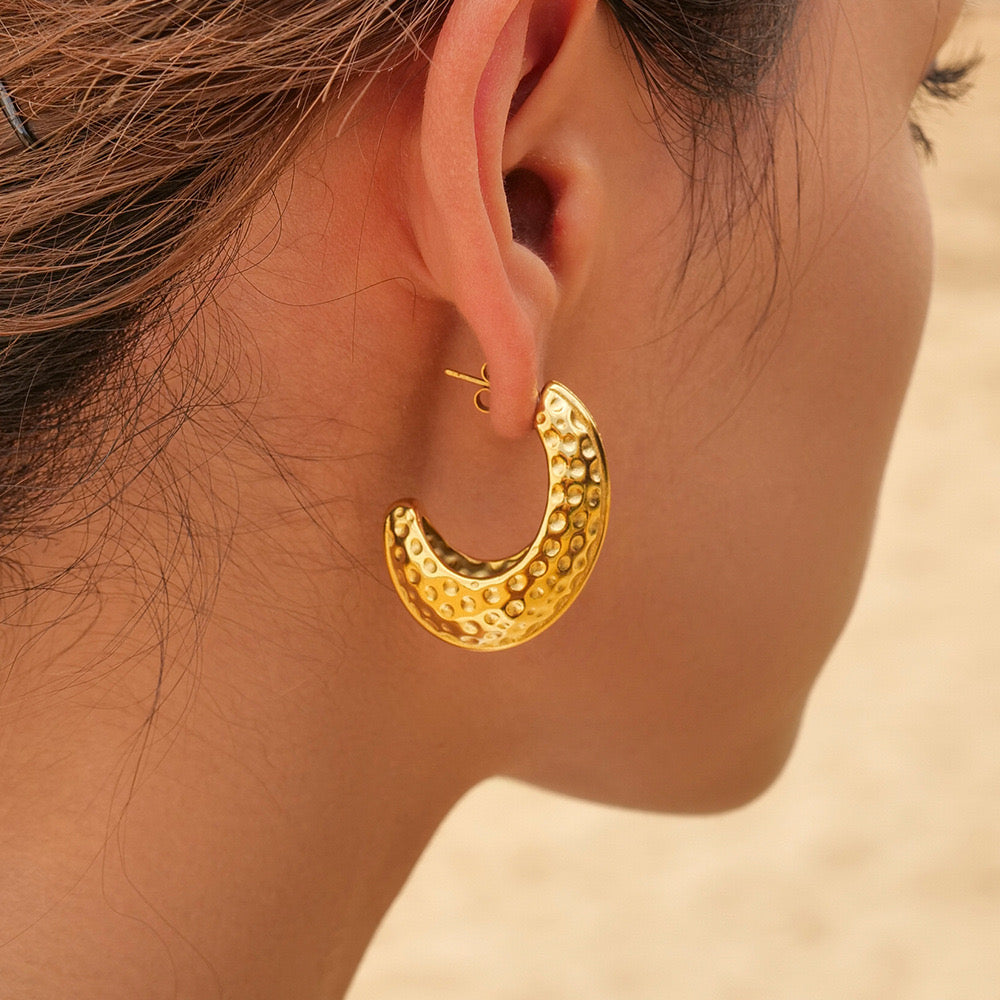 Premium Gold Silver Shining Earrings