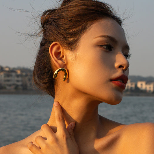 2024 Premium Gold Earrings