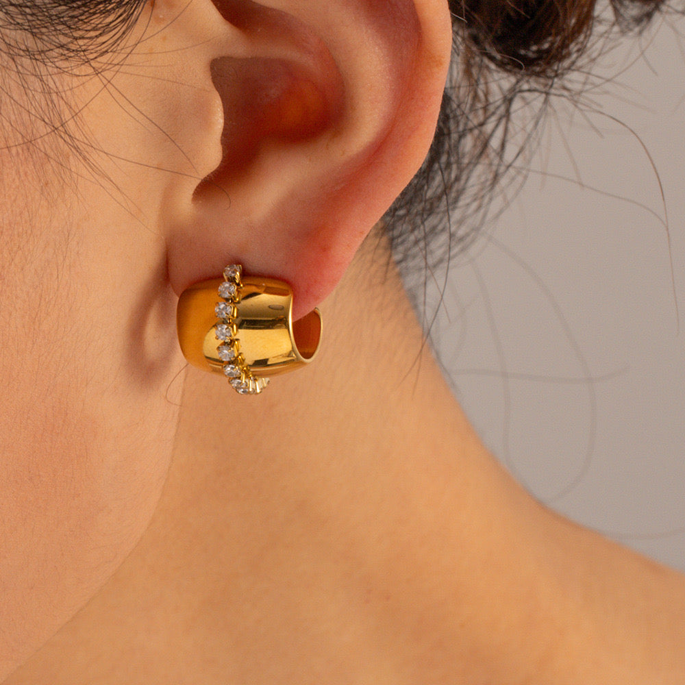 Premium Gold Earrings