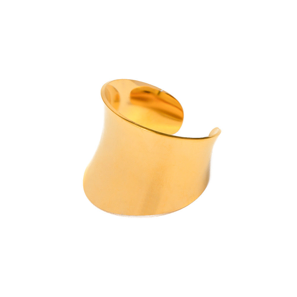 High-End New Style Diverse niche Wide-Faced Curling Earrings Small, Exquisite And Fashionable Gold