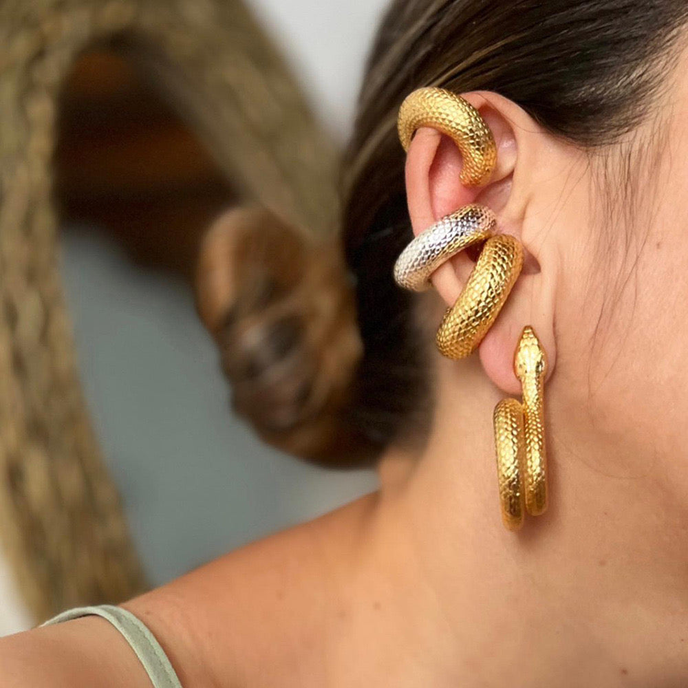 Temperament Snake Scale Earrings Women's Niche Design Light Luxury Earrings